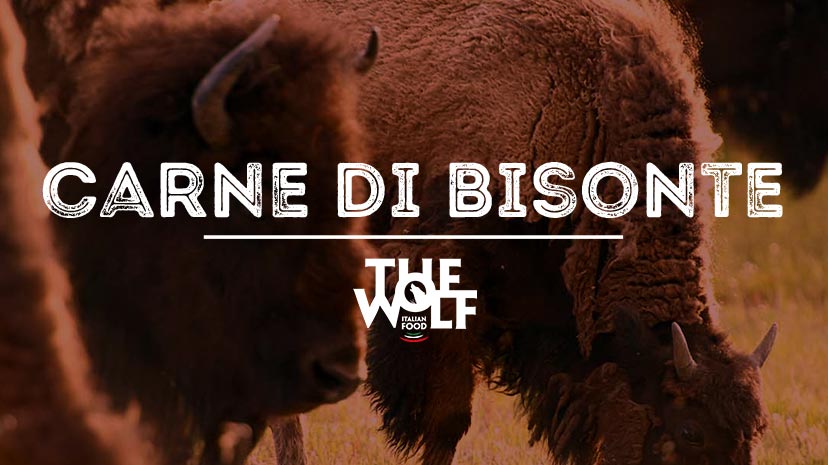 La nostra Carne di Bisonte