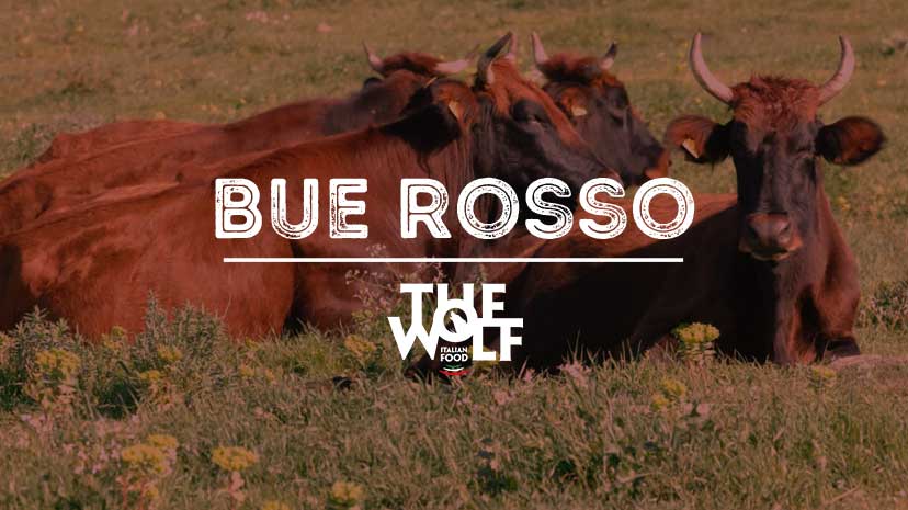 La nostra carne di bue rosso