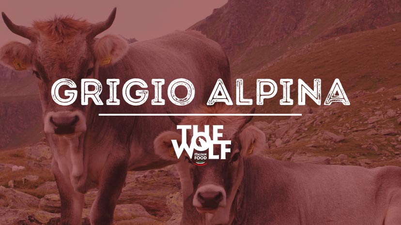 La nostra Carne Grigio Alpina